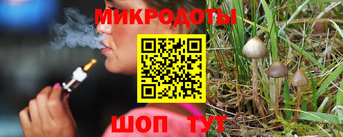 Кольчугино  Псилоцибиновые грибы GOLDEN TEACHER  Галлюциногенные грибы Psilocybine cubensis  Вход с VPN 